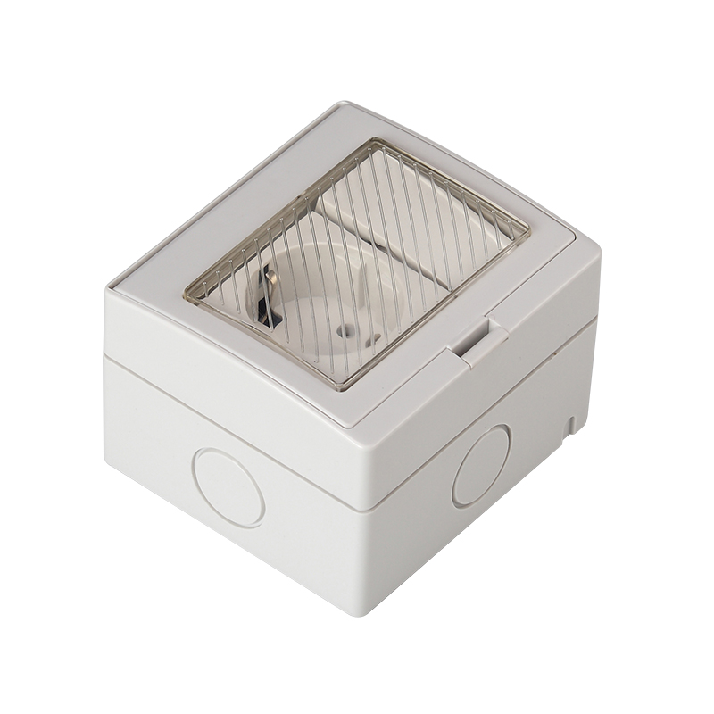 SAIP/SAIPWELL Household Appliance Two German Style Sockets Smart Home OEM 16A Waterproof Wall Socket Box