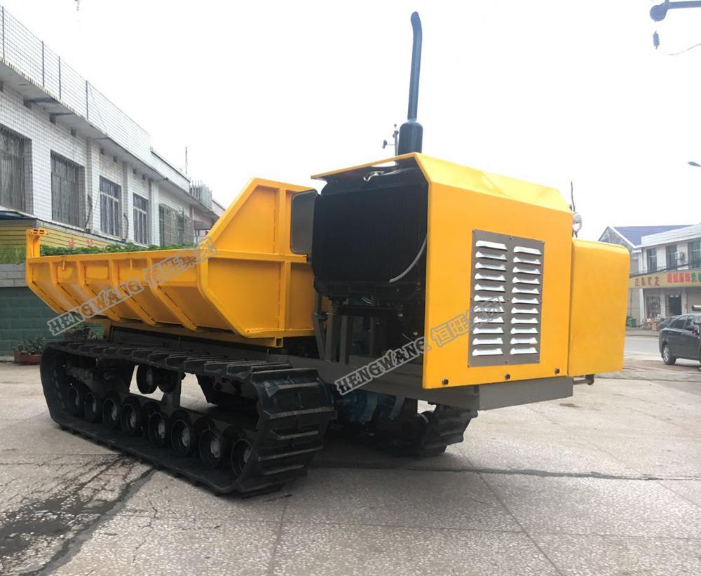 4T LOAD Crawler site dumper multipurpose