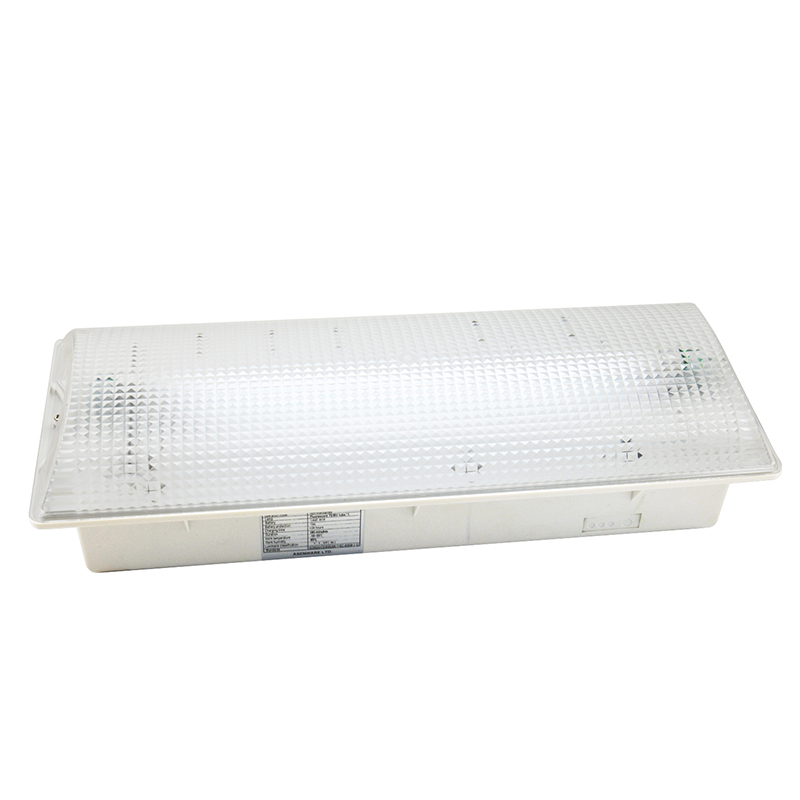 Addressable Emergency light monitoring system with Exit Signs