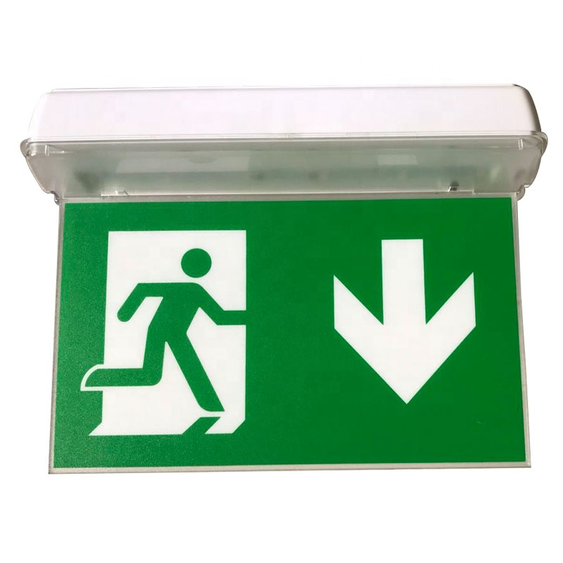 220V Double-side Ceiling Recessed Autotesting LED Emergency Exit Sign