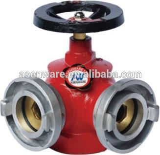 Dual outlet landing valve fire hydrant