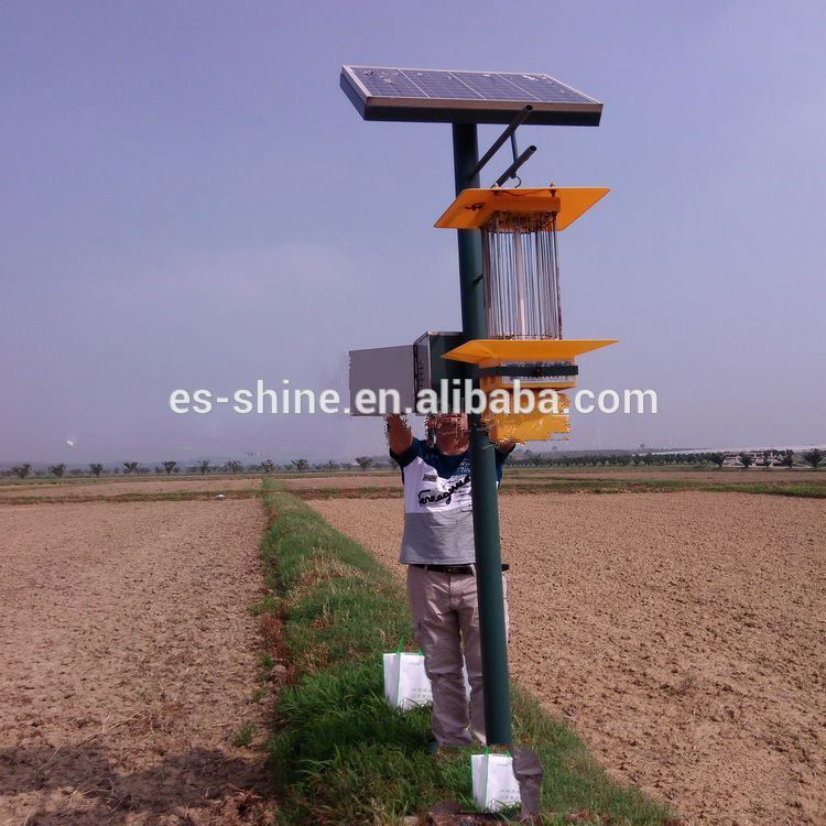 agrotis ypsilon trapping and killer lamp