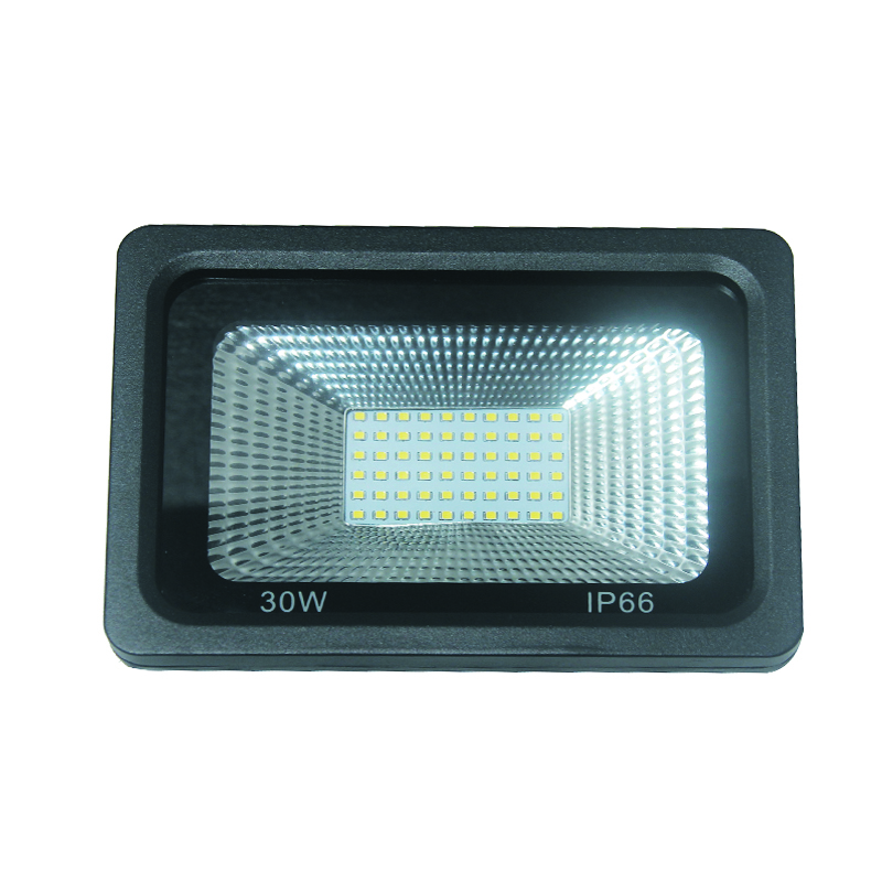 IP65 Aluminium China Factory Supply Outdoor Lighting 30W Led Spotlight AC165-265V LED Spotlight