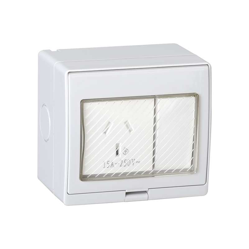 SAIP/SAIPWELL New Product 86 Type Smart Home Oem Outlet With Transparent Cover Waterproof Socket