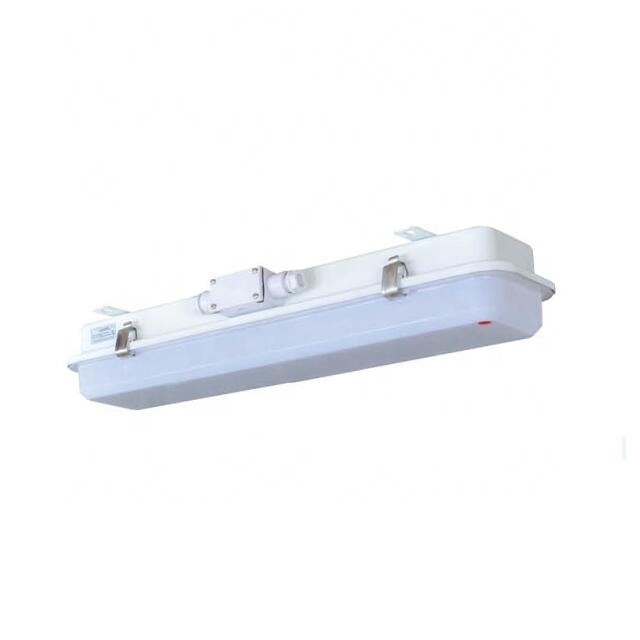 2*30W Fluorescent pendant light waterproof marine ship boat with emergency JCY32-2E