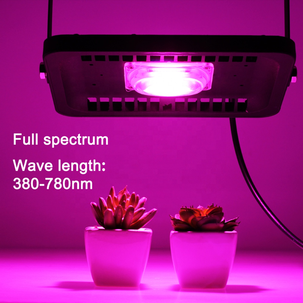 LED Floodlights Plants  IP65 Waterproof Led 100W Hydroponic Grow Light for Greenhouse Growth