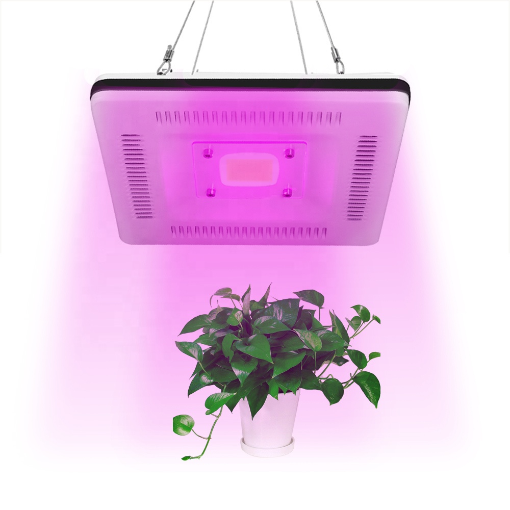 Ultrathin COB 50W AC phytolamp led grow lamps for seedlings