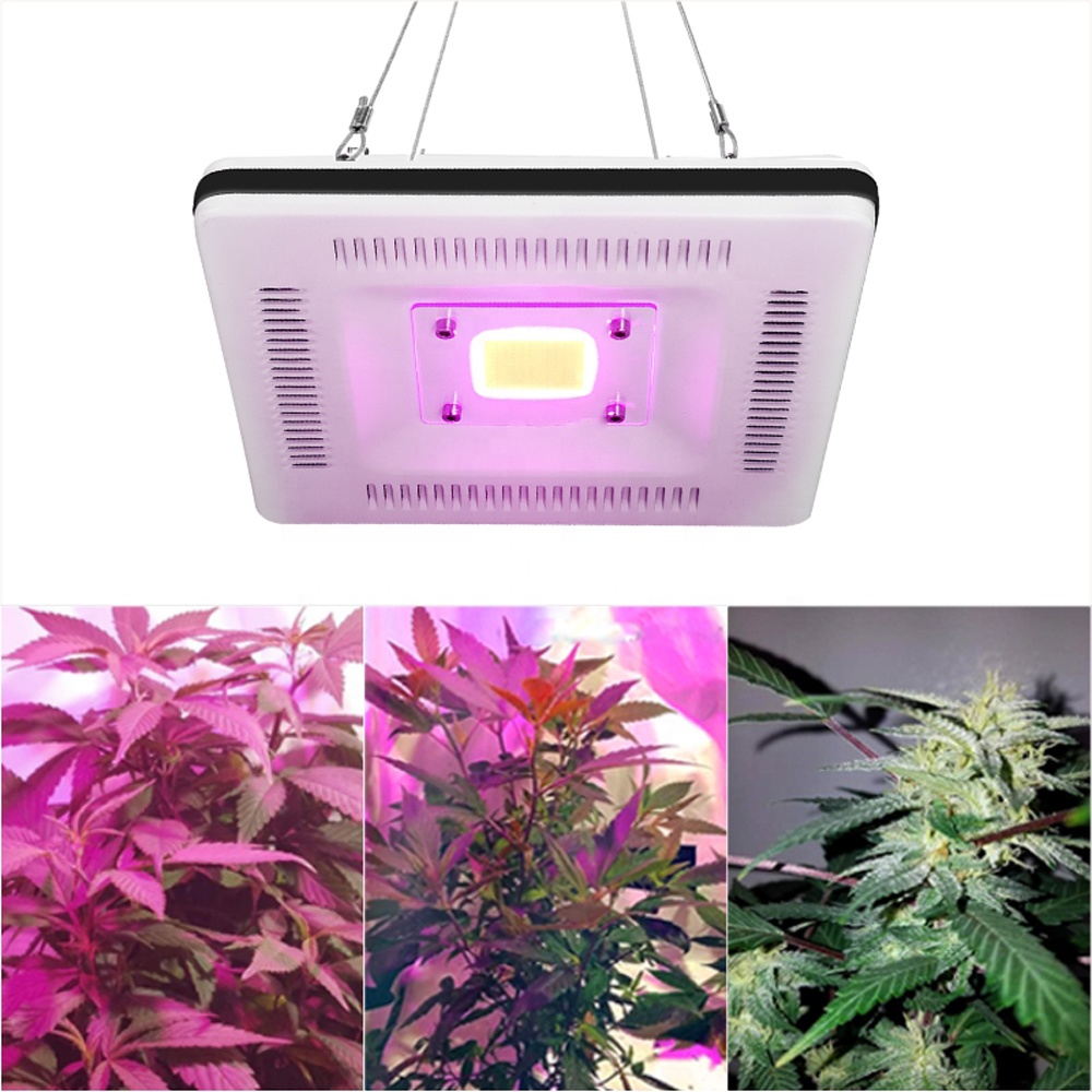 Waterproof COB 50W AC 110V 220V LED Grow Light Panel