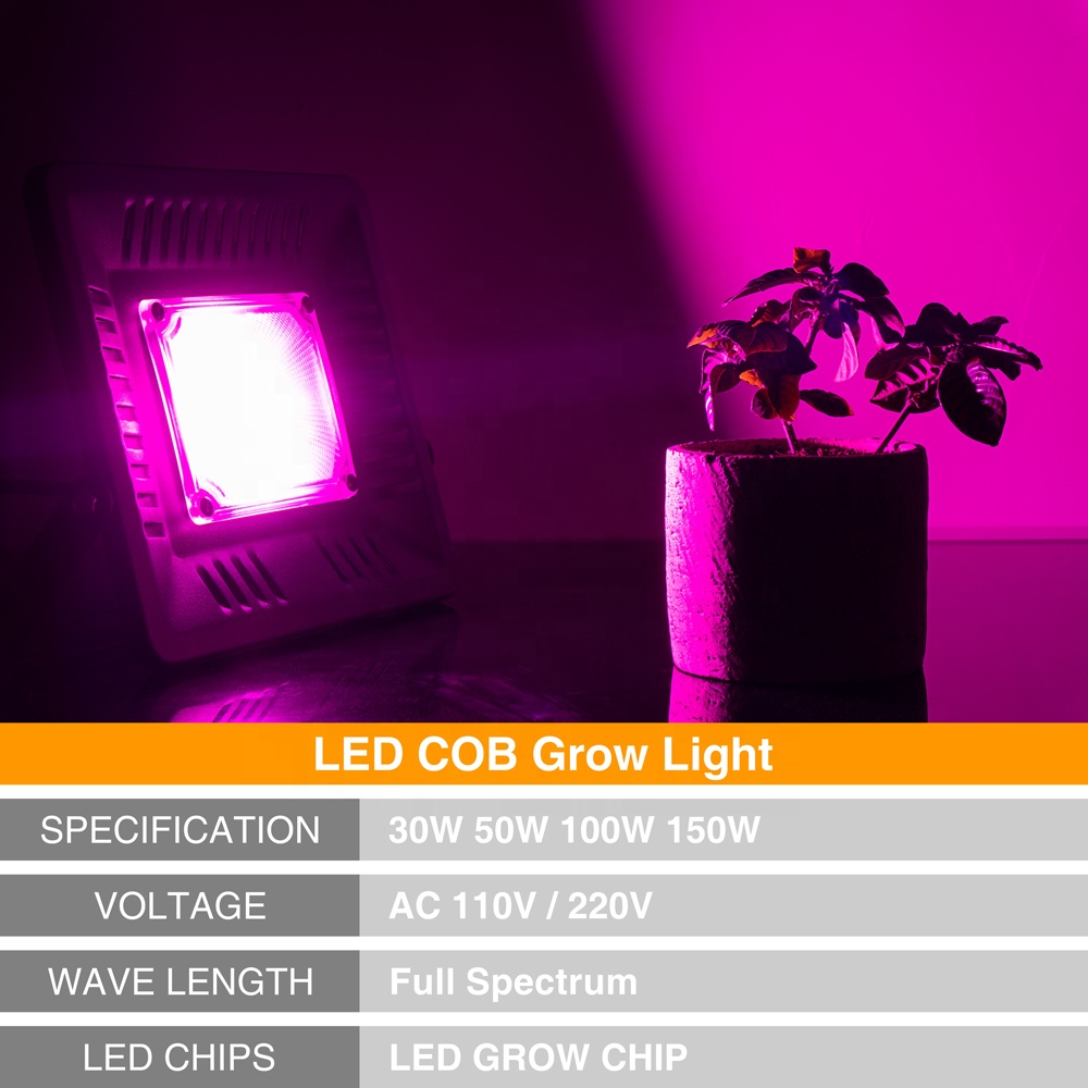 110v 220v vegetable flower fruit 50 watt Ip65 hydroponics grow led cob lamp