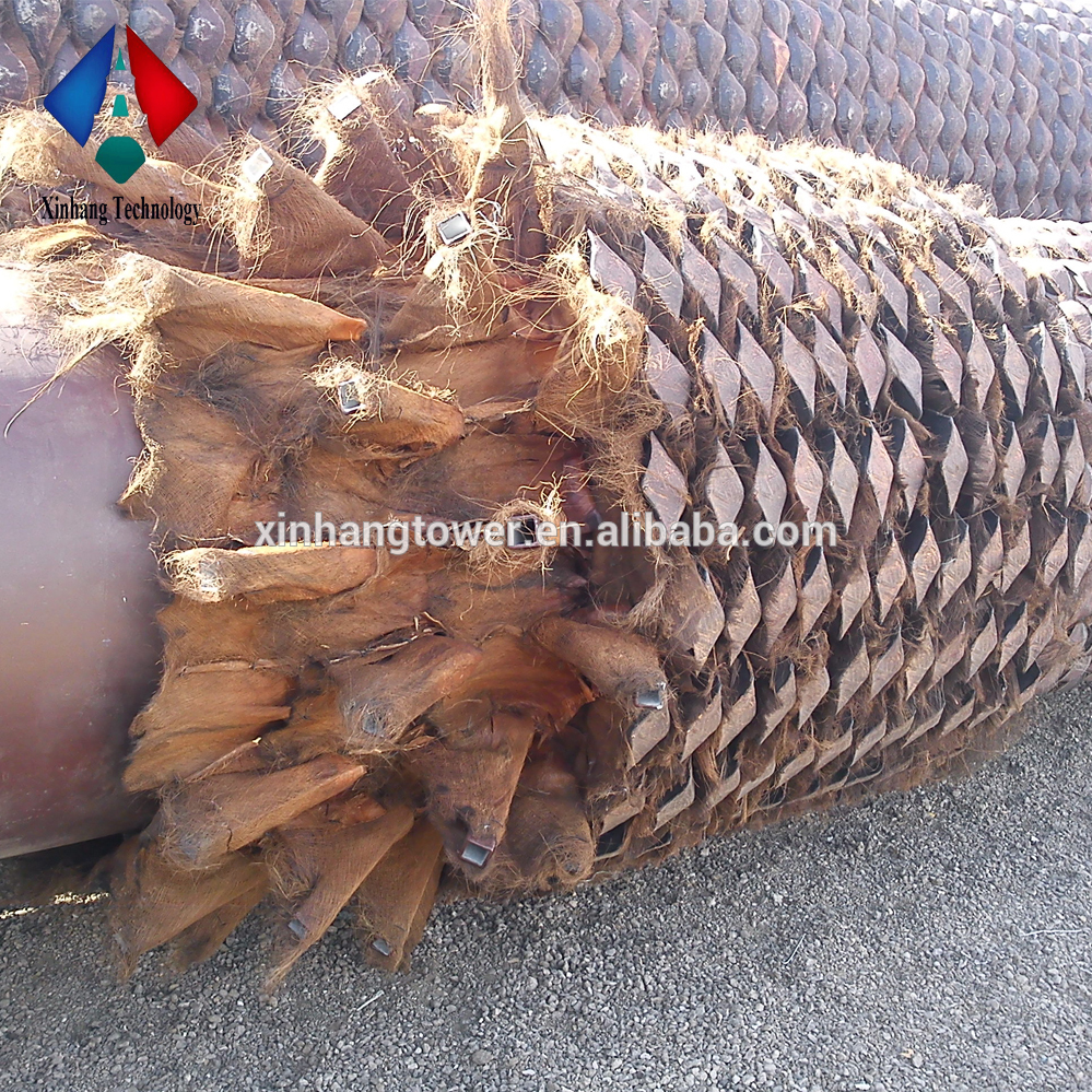 Date Palm Fronds Branches Arabian Date Palm Fronds