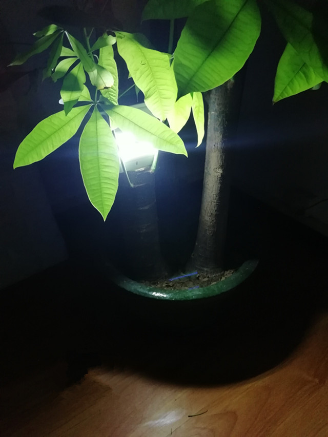 Outdoor wall lantern ABS CE high wall lamp ip 65 up and down lights wall solar lamp