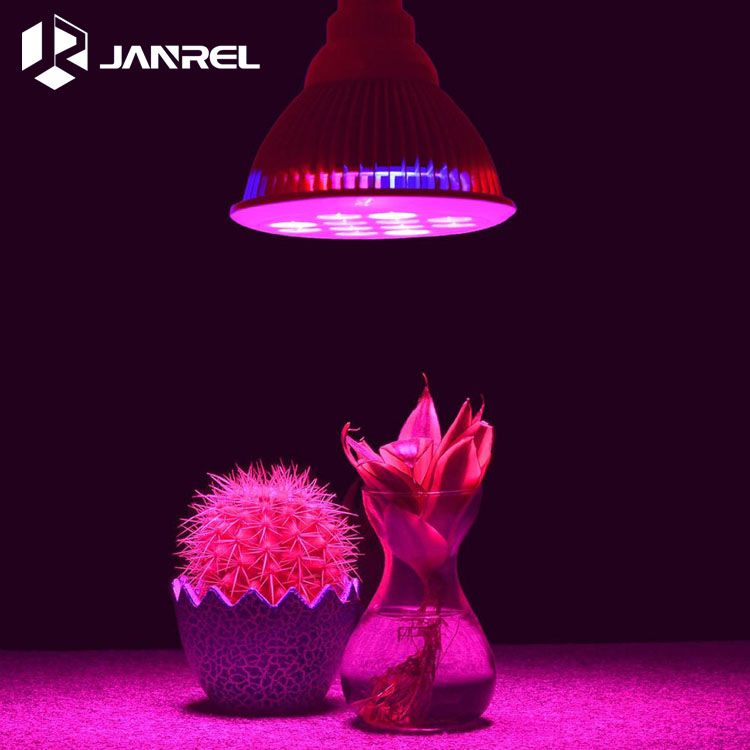 12W Red Blue lighting LED Plant Lamp E27 AC85-265V High brightness LED Grow Light Bulbs