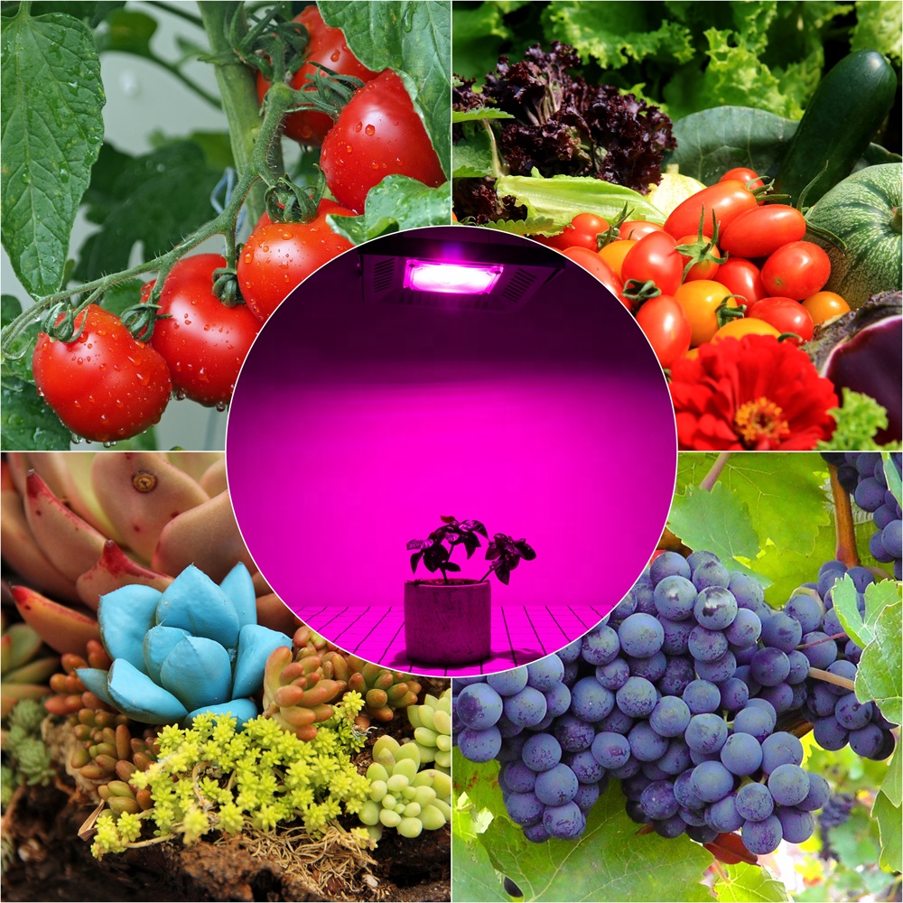 30w 50w 100w 150w Outdoor LED Flood Lights Plants Grow COB Lights IP65 Waterproof Led Growth Floodlight for Greenhouse