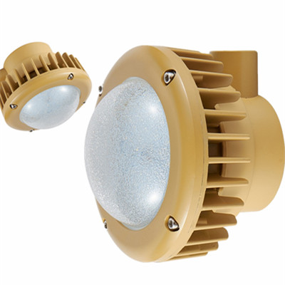 OEM High-quality Certificate Led White Color Light Led Explosion Proof Lights 30w