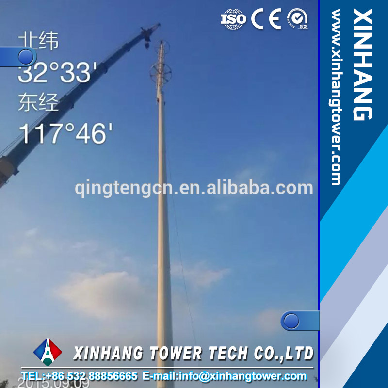 Landscape Light Monopole Cellular Tower