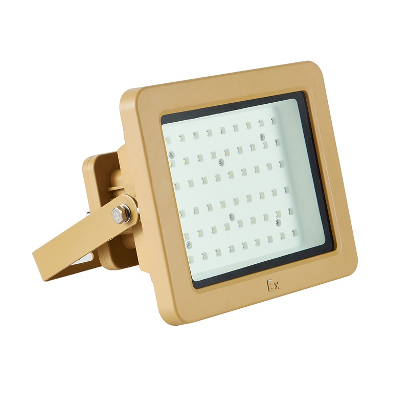 Factory Price High Quality 50W EX LED Explosion-proof Flood Light Lamp Fixtures