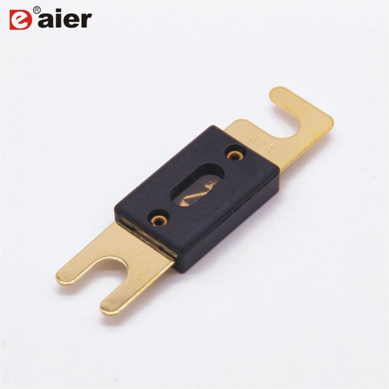 Bolt Type 30A~500A  ANL Fuse