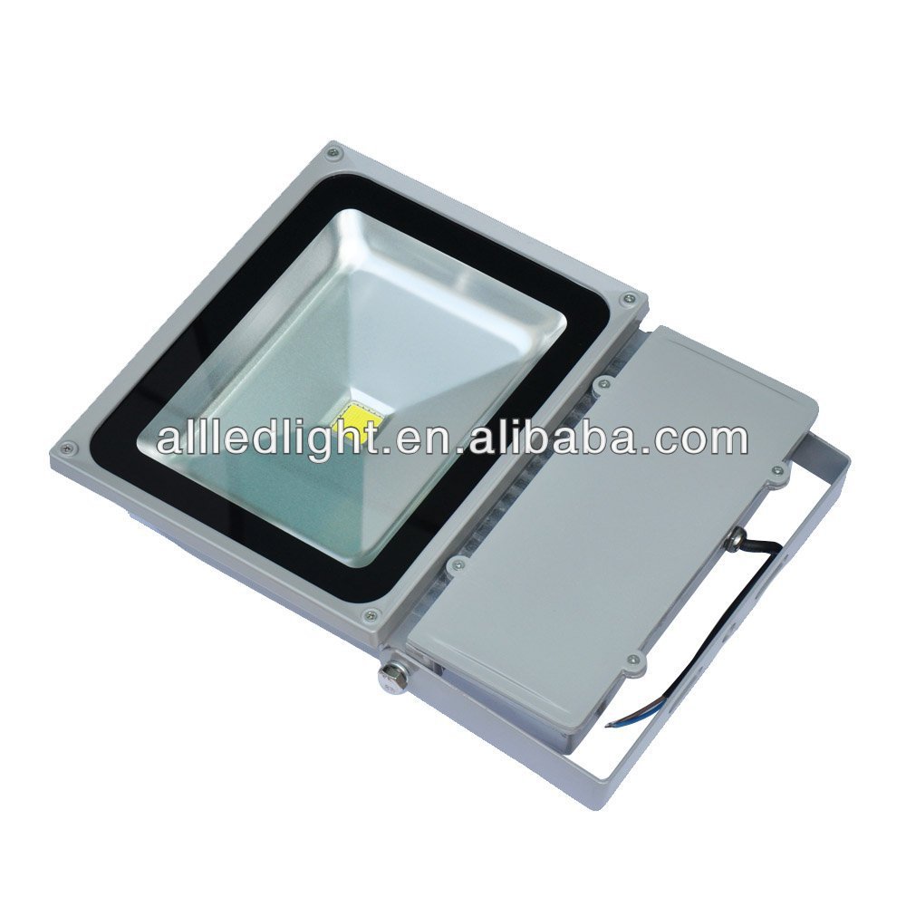 High Lumen lux 100w led flood light with bridgelux chip