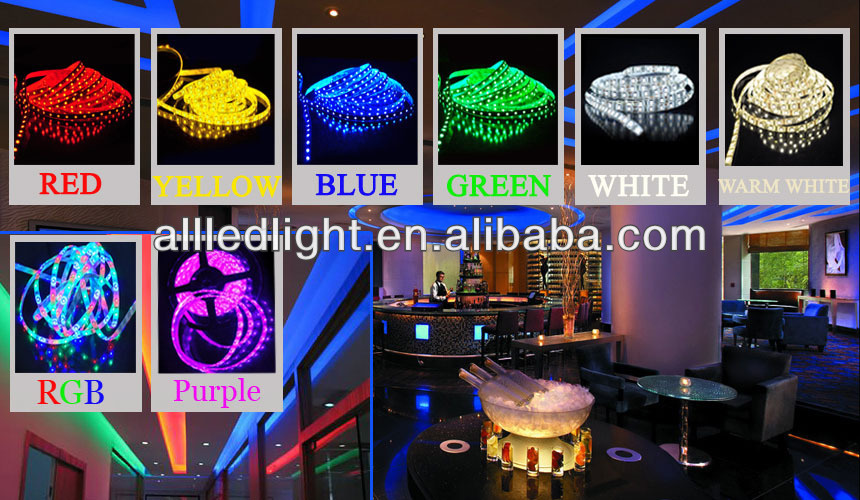 5050 IP65 waterproof flexible led strip light