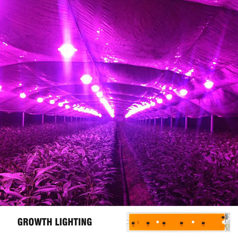 Driverless 230V Phyto Flood lights Iodine Lamp 50 watt full spectrum led grow cob For Indoor Planting