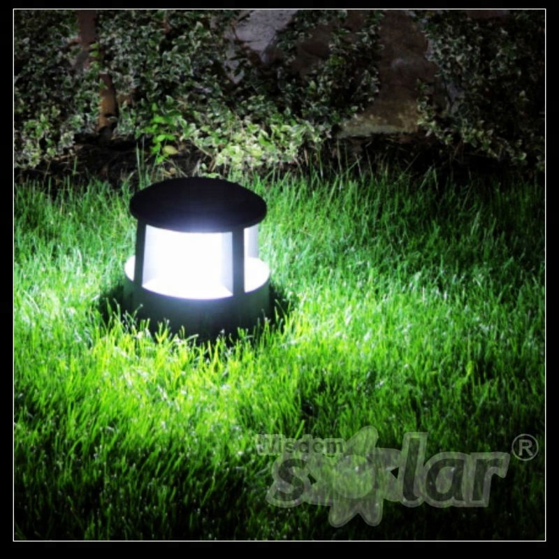Supper Bright stainless steel solar powered led pathway light,decorative and brightening up you garden,street at night