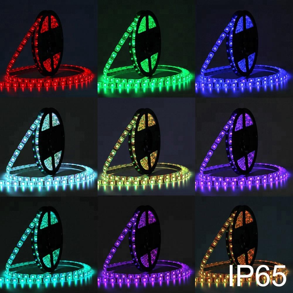 10mm 60leds/m 5050 flexible LED strip light 12v ip65 waterproof