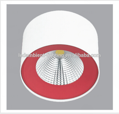 Surface Use 30 Watt Downlight Matt White Housing Color 30 W Downlight LED