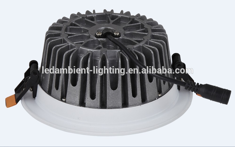 Perfect Aluminum Radiator 4000K 30W LED Light Downlight