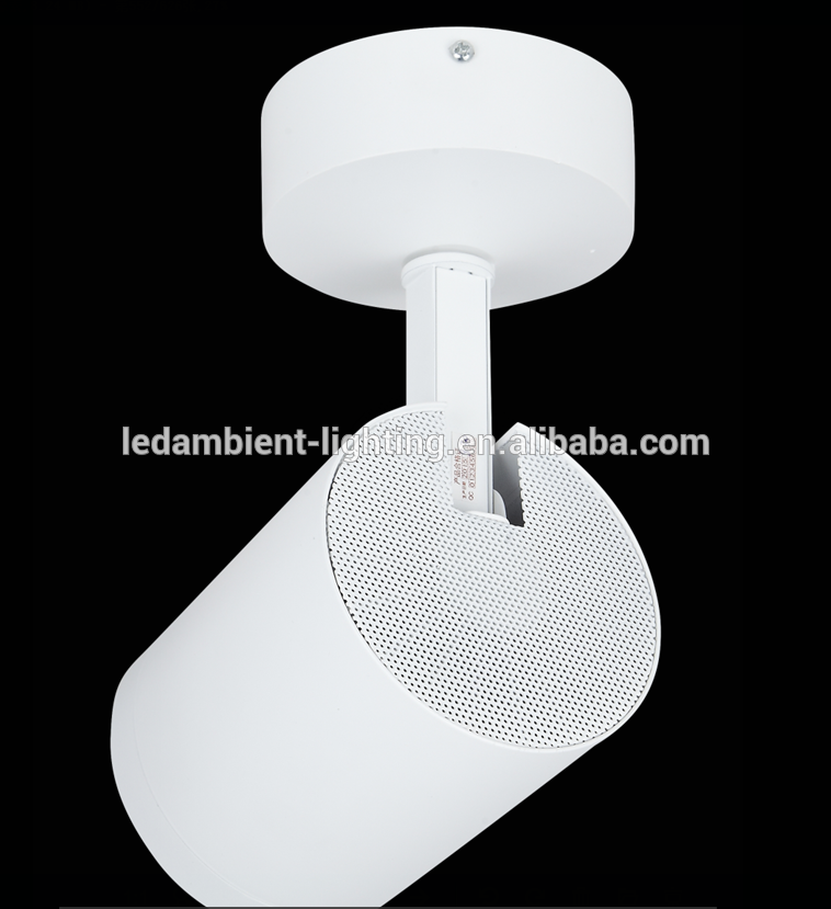 LW4021 Dimmable LED Spot Light Spotlight 30W Jewellery Shop Spot Light