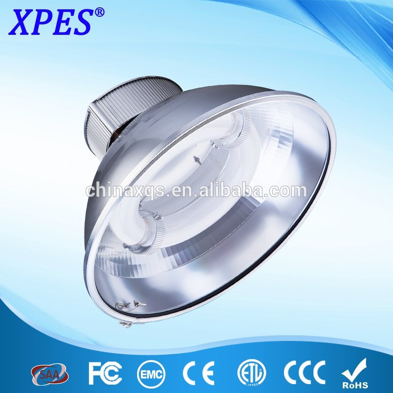 industrial lamp workshop light fixtures flush mount mat induction lamp lowell 150w220 60k Kiel Germany