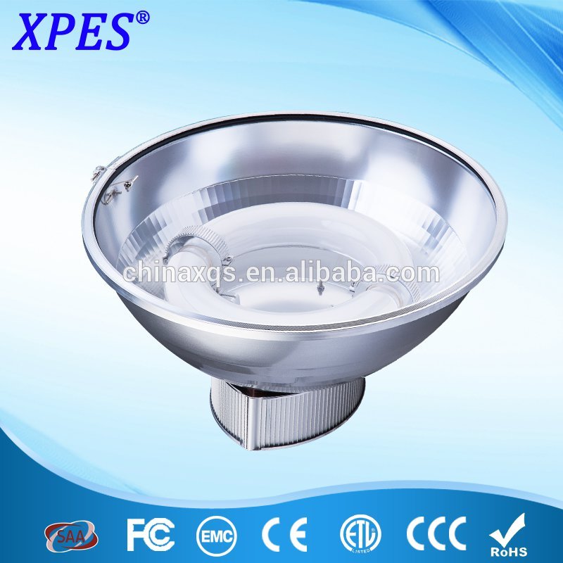 Outstanding Performance induction light Low Energy Consumption induction lighting fixtures wholesale