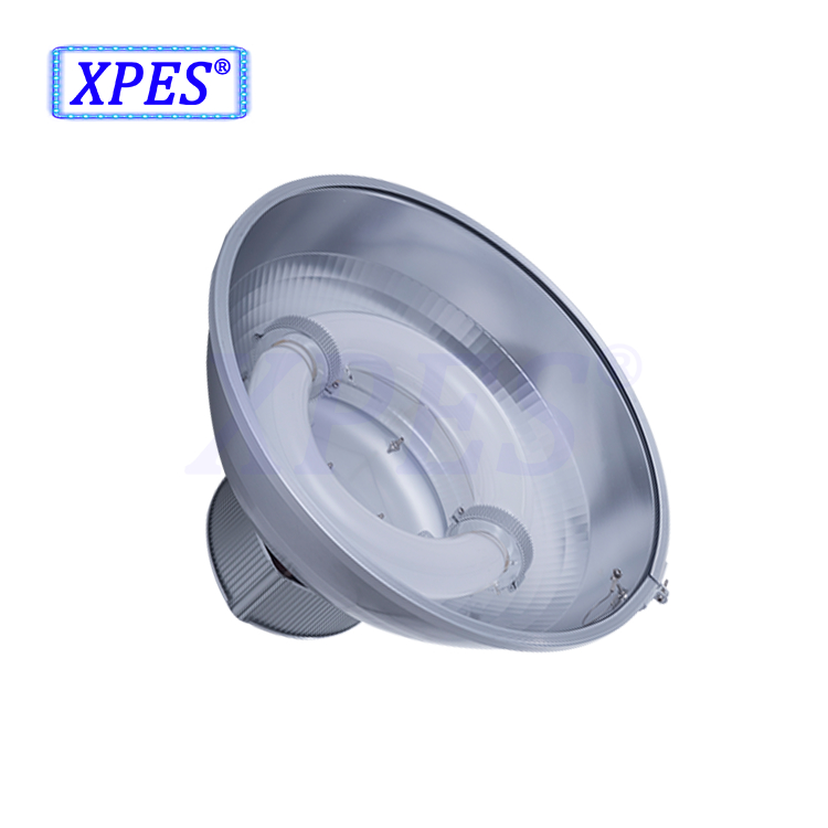 100-300V Voltage circular induction lamp Wide range of input voltage best induction lighting manufacturer