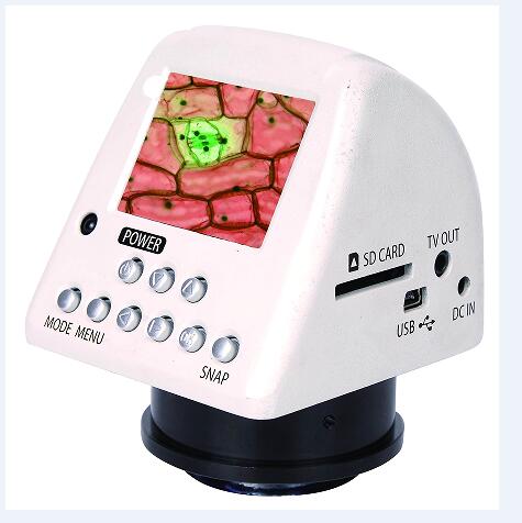 China hot sale electron microscope price