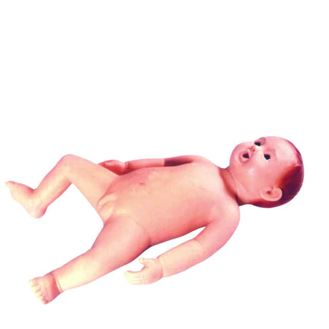 Teaching model of Advanced Infant Care Model LM4014