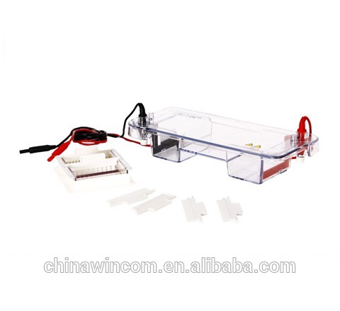 7.8*10m Horizontal Electrophoresis, Electrophoresis tank