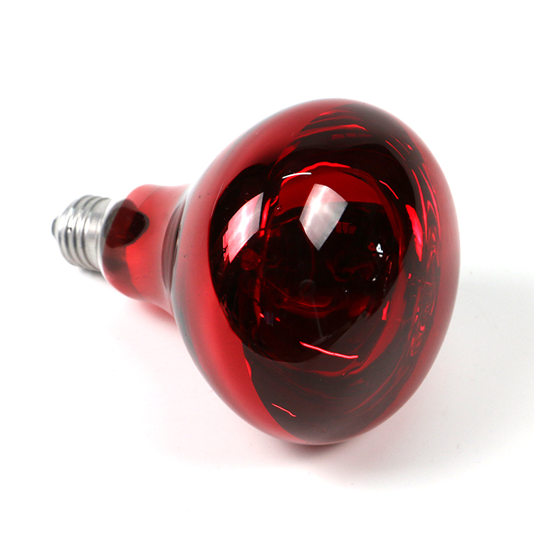 250w infrared heat bulb for reptile terrariums
