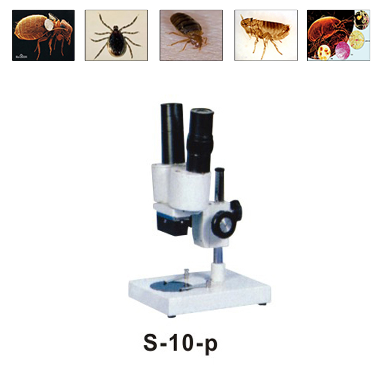 Binocular Biological Stereo Microscope