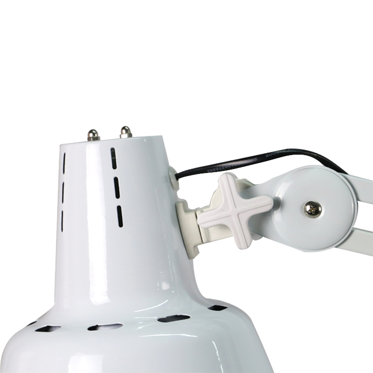 Infrared treatment for pain, lower back pain dermatology phototherapy red far infrared light treatment