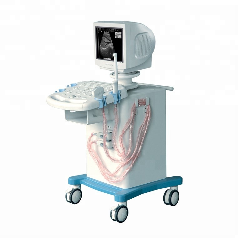 Full Digital Ultrasound Scanner with Trolley for Model WT-9002