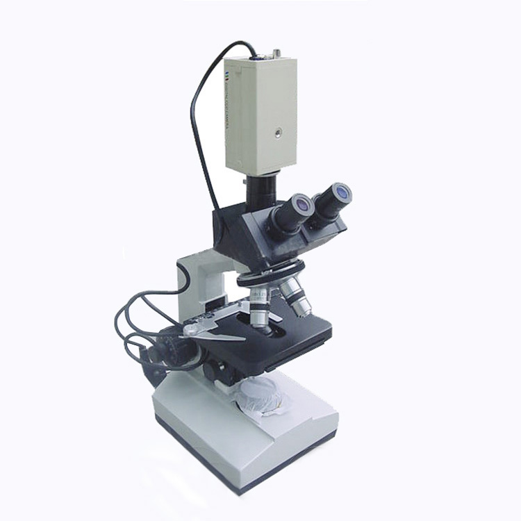 Trinocular Microscope with CCD