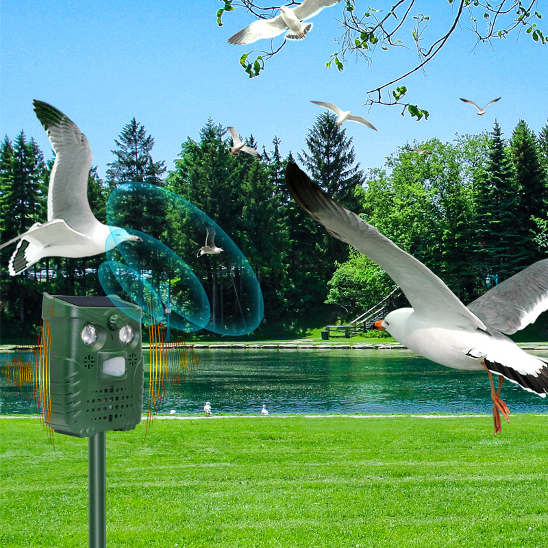 Pest and Animal Control Rodent, Raccoon, Deer, Birds, Cats, Dogs, Mice Repellent animal control