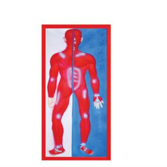 Medical Care Equipment Biological Science Model Relief Model of Skeleton System