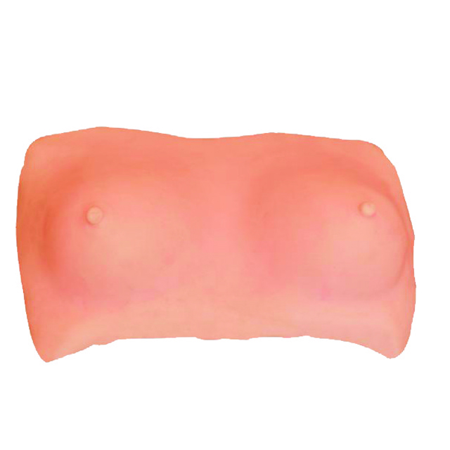 Teaching model of Breast Examination Model LM4068