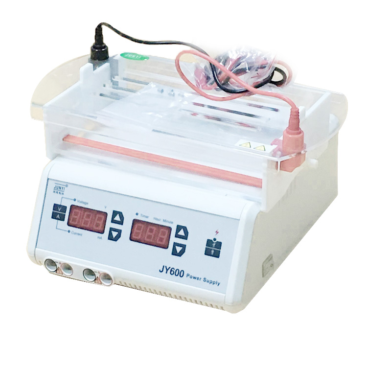 Digital Electrophoresis Analyzer Machine With Cell