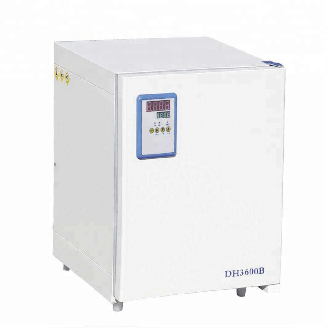 Iron Lab Thermostat Incubator, Digital Incubator Price DH3600II