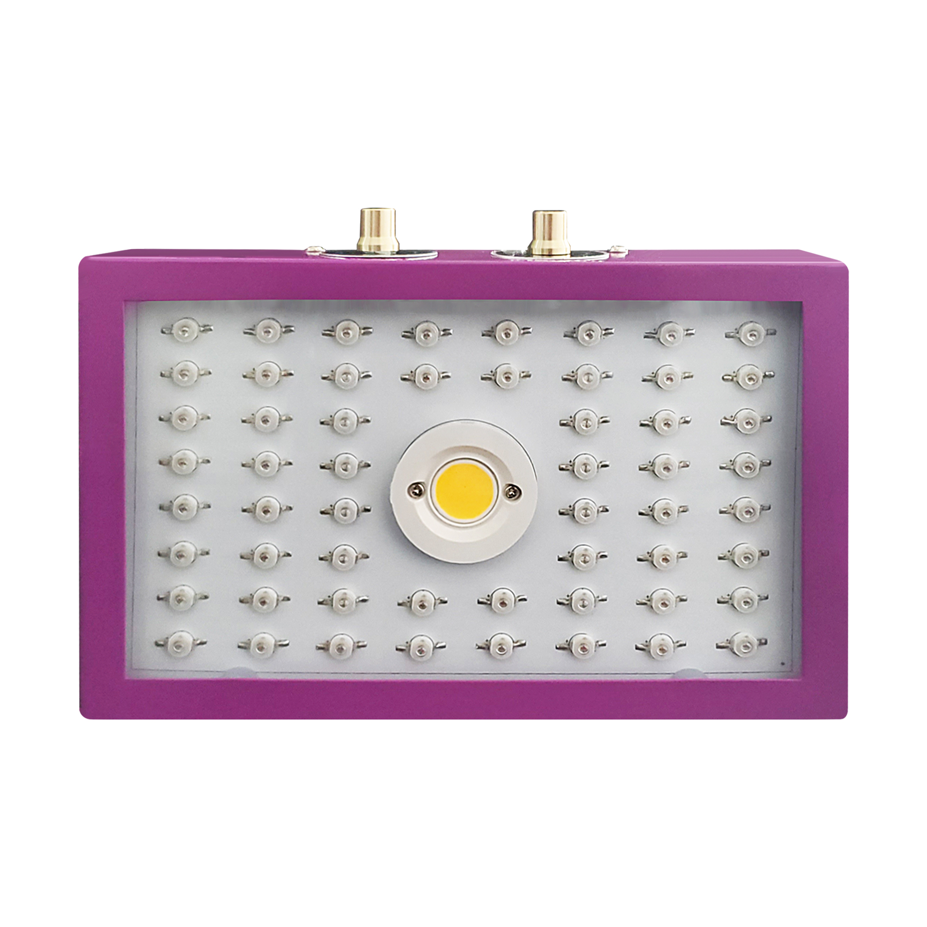 1200W Purple Rectangle Full Spectrum COB Indoor Plants LED Hydroponics Grow Lights for Indoor Plant Grow Lights