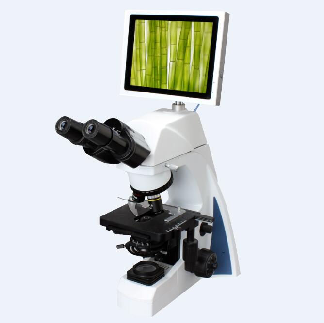 Binocular microscope with compensation free binocular head