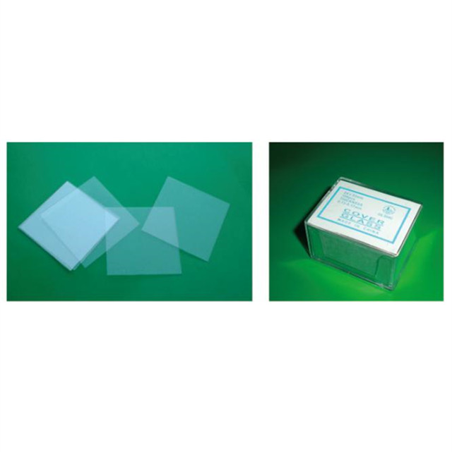 Laboratory stereo microscope binocular head