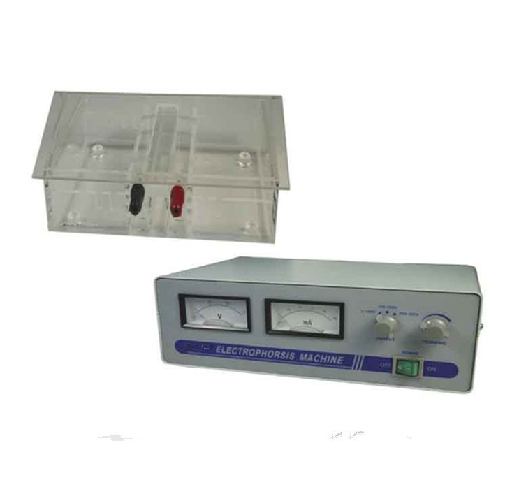 Best selling electrophoresis machine with cell