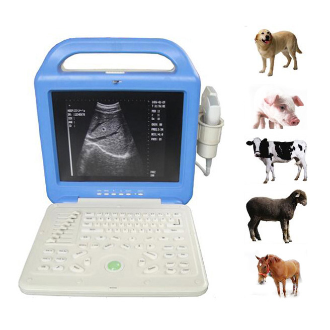 Digital Vet Laptop Ultrasound Scanner WT- 51353VET
